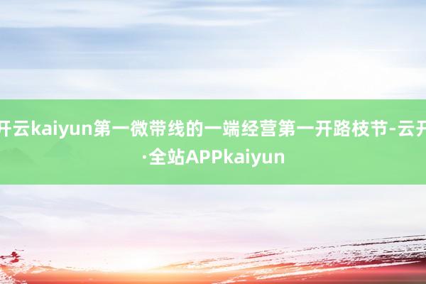 开云kaiyun第一微带线的一端经营第一开路枝节-云开·全站APPkaiyun