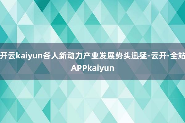 开云kaiyun各人新动力产业发展势头迅猛-云开·全站APPkaiyun