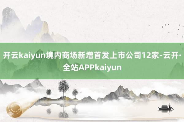 开云kaiyun境内商场新增首发上市公司12家-云开·全站APPkaiyun